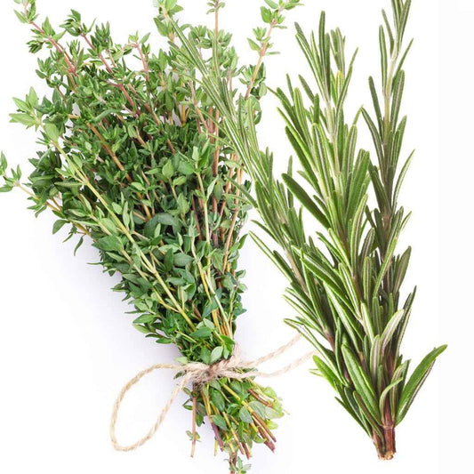 White Thyme and Rosemary fragrance oil product image