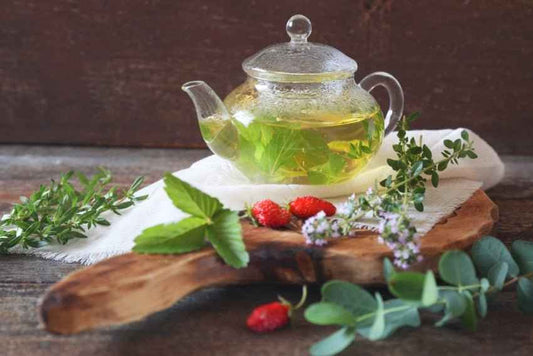 Wild Mint and Eucalyptus fragrance oil product image
