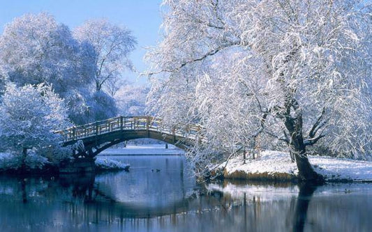 Winter Morning fragrance oil product image